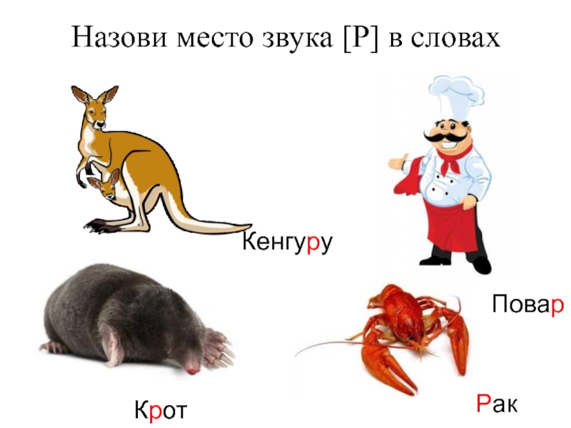 Найди слова рак