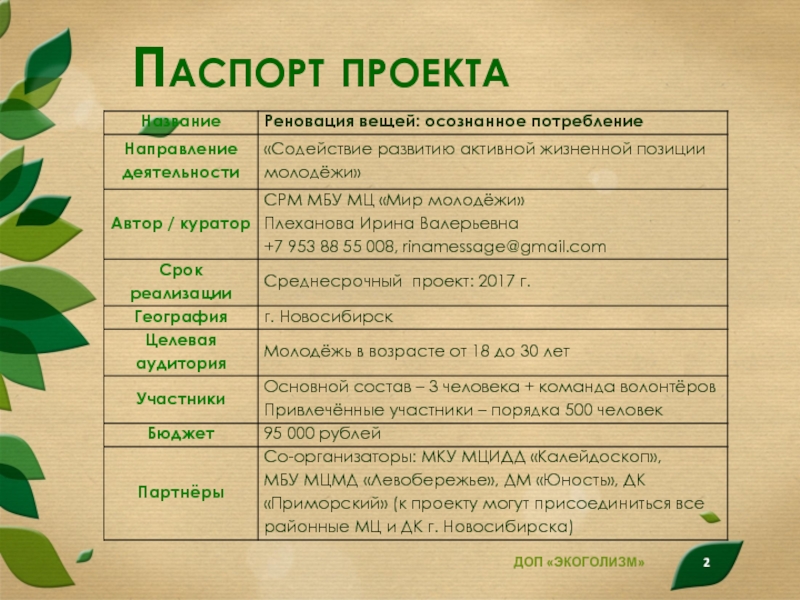 Паспорт социального проекта пример