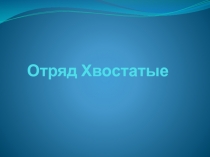 Отряд Хвостатые