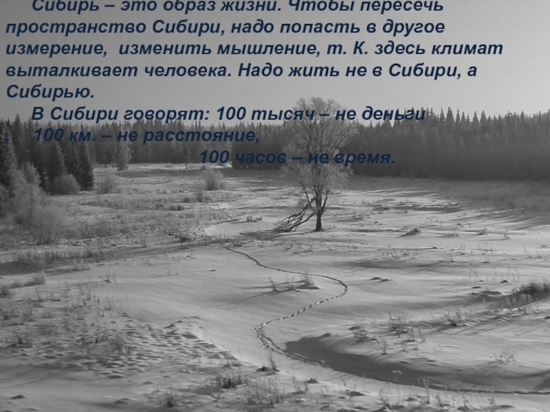 Несмотря на это здесь был климат. Высказывания о Сибири. Цитаты про Сибирь. Сибирские афоризмы. Изречения о Сибири.