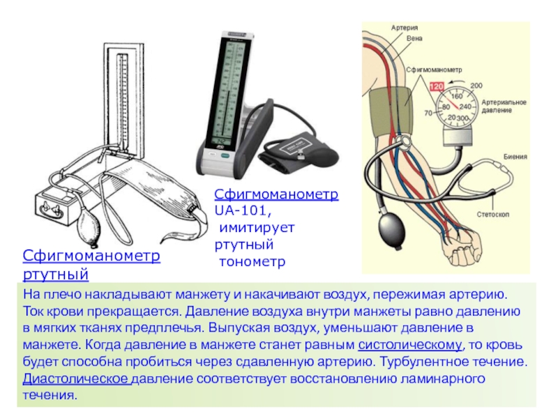 Аппарат для изображения мышц