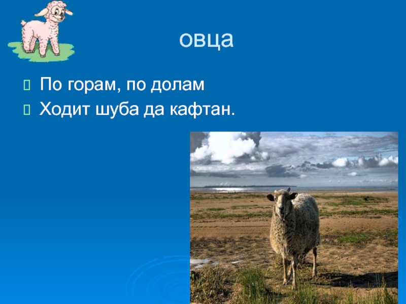 Загадка по горам горам ходит шуба. По горам по долам ходит. По горам по долам ходит шуба да кафтан ответ. По горам по долам ходит шуба да кафтан отгадка. По горам ходит шуба.