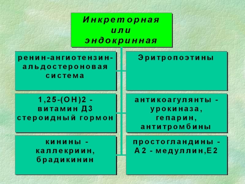 Инкреторная функция это. Физиология мочеобразования презентация. Механизмы регуляции мочеобразования. Механизмы мочеобразования фото. Медуллин выделяется в.