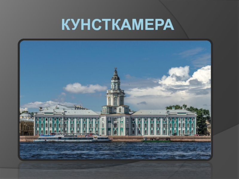 Кунсткамера петербург презентация