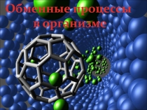 Обменные процессы
в организме