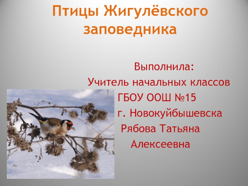 Птицы Жигулевского заповедника 4 класс
