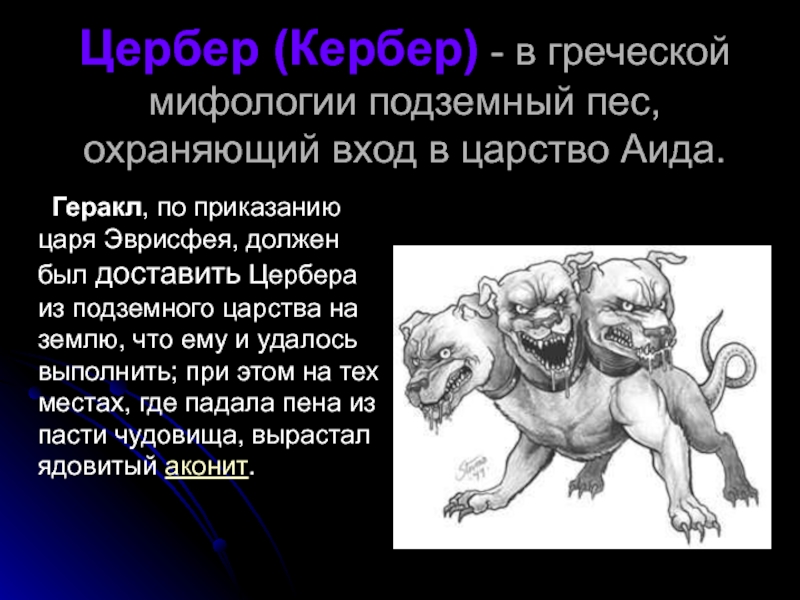 Цербер (Кербер) - в греческой мифологии подземный пес, охраняющий вход в царство Аида.