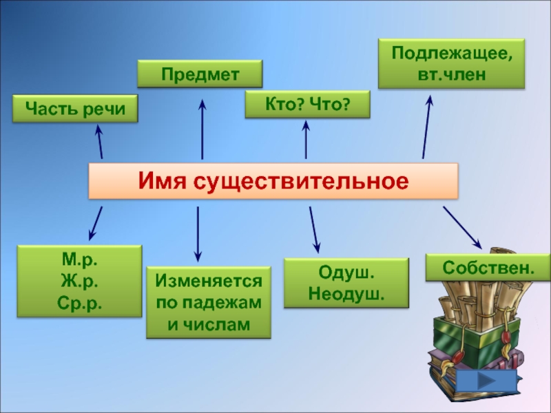 Имя существительное 5 класс. Имя существительное. Проект на тему имя существительное. Страна имени существительного. Части речи имя существительное 3 класс.