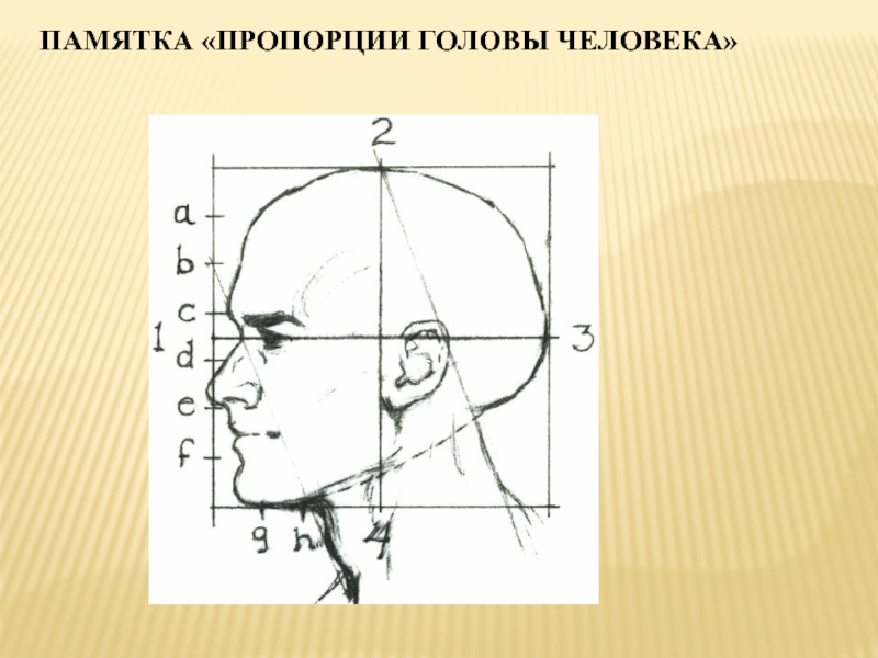 Вглядываясь в человека портрет проект