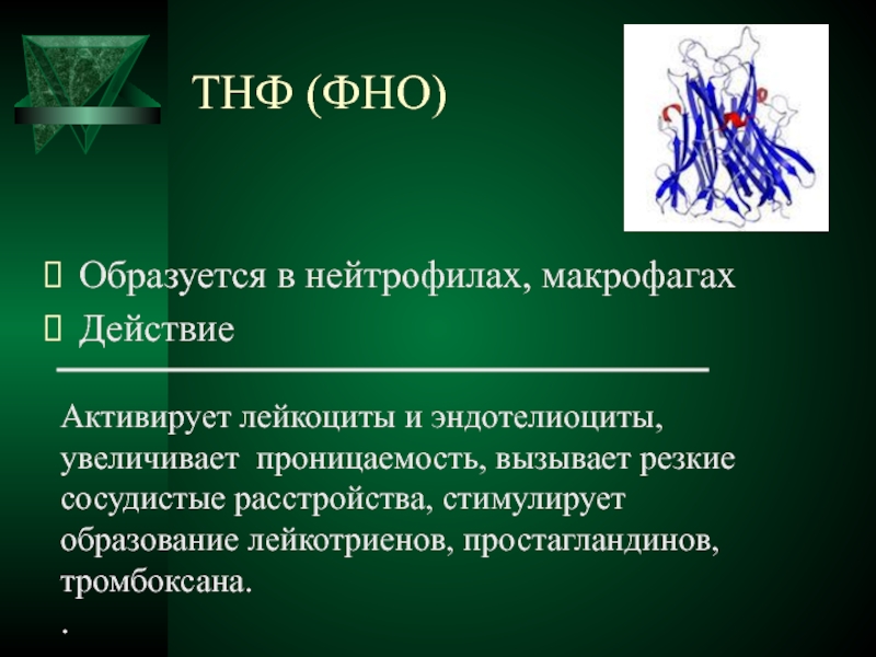 Фно. Тумор некротический фактор. TNF фактор некроза опухоли. Фактор некроза опухоли повышен. Тумор некротический фактор цитокин.