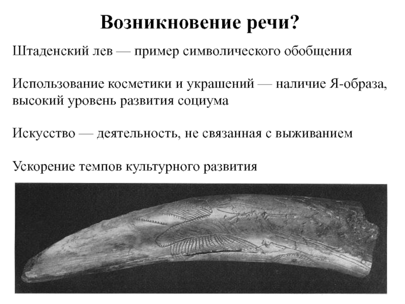 Появление речи. Возникновение речи.