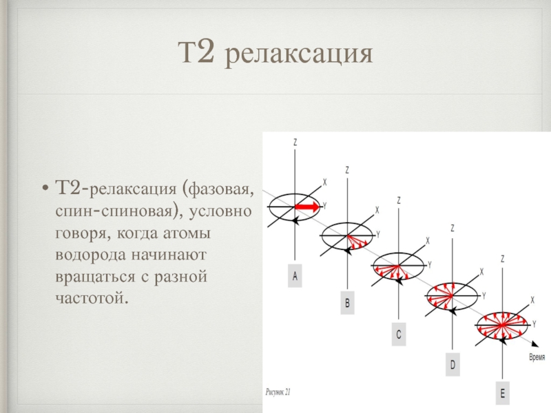 Условно говоря. Т2 релаксация. Спиновые волны. T2 спин спиновая релаксация 67. Спиновая поляризация.