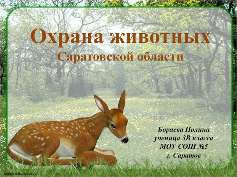 Презентация Охрана животных Саратовской области