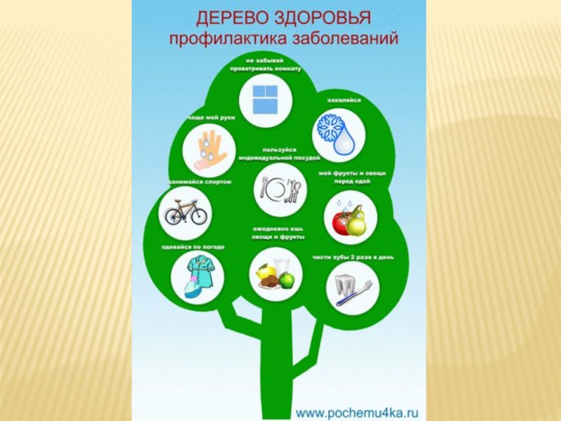 Дерево здоровья в детском саду. Дерево здоровья для дошкольников. ЗОЖ дерево здоровья. Плакат дерево здоровья.