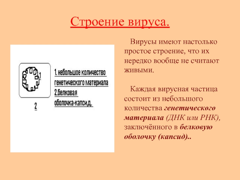 Вирусы имеют. Вирус состоит из генетического материала и. Строение вирусов таблица. Из чего состоит капсид вируса. Строение простого вируса рисунок.