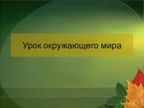 Презентация к уроку Окружающий мир по теме 