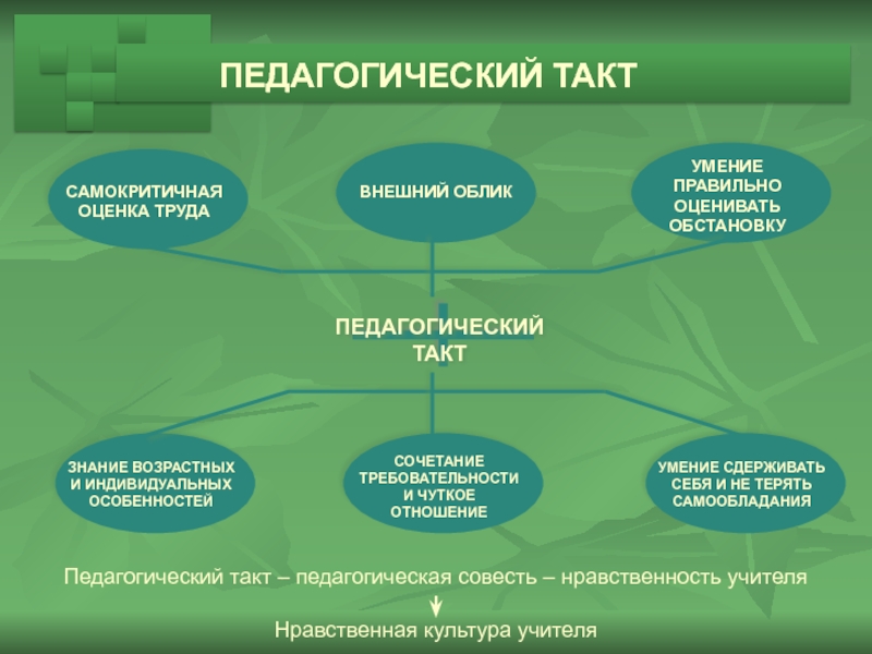 Е педагогика. Педагогический такт и педагогическая этика учителя план-схема. Педагогический такт. Нормы педагогического такта. Основные элементы педагогического такта.