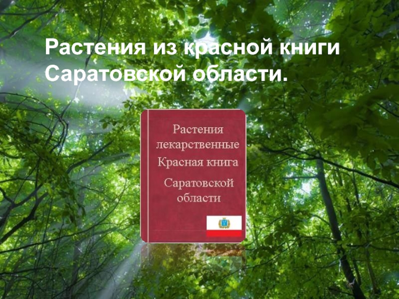 Растения из Красной книги Саратовской области 3 класс