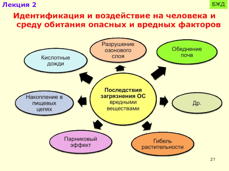 Экологические основы безопасности жизнедеятельности человека в среде обитания презентация