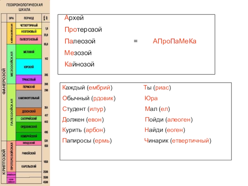 Доклад по теме Кто такая лонгисквама