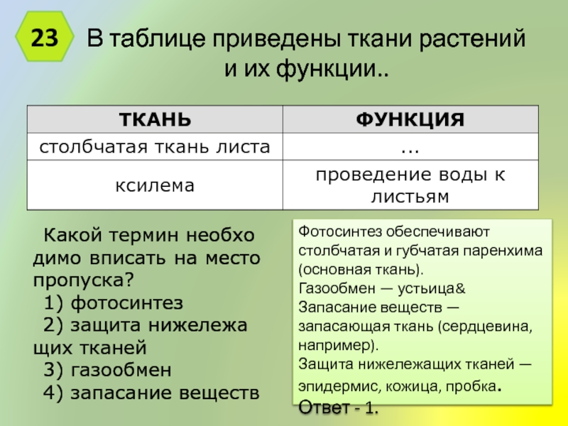 В таблице приведены ткани растений и их функции. Ткани и функции в таблице приведены. Столбчатая ткань таблица. Паренхима ткани растений и их функции таблица.