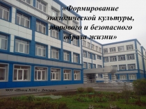 Формирование экологической культуры, здорового и безопасного образа жизни