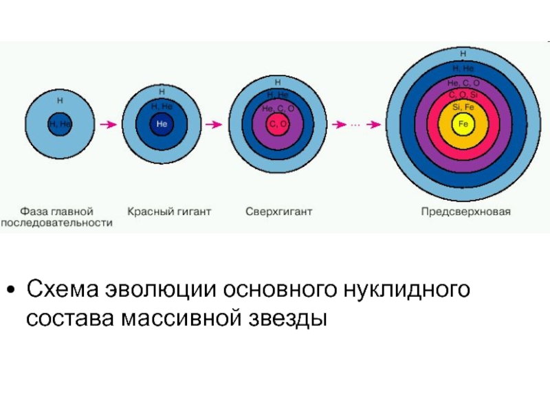 Соотнесите группу звезд и схему их эволюции