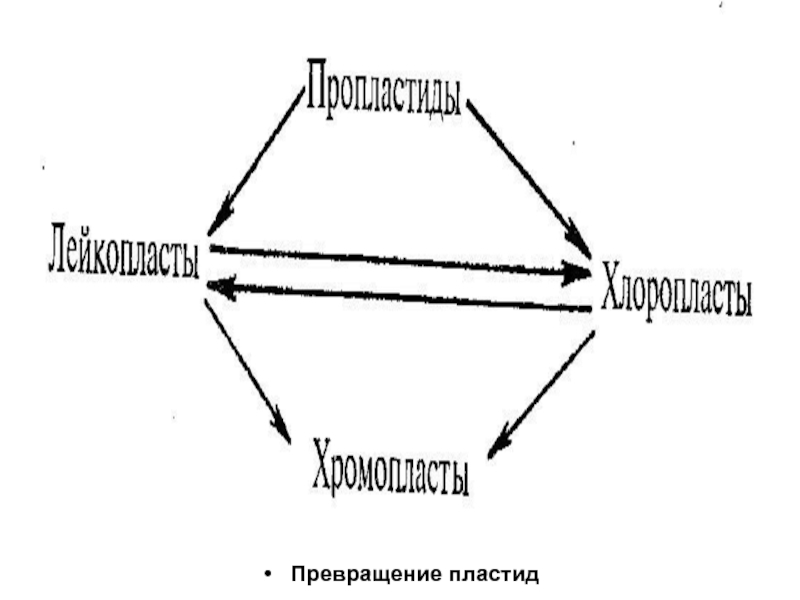 Схема по другому