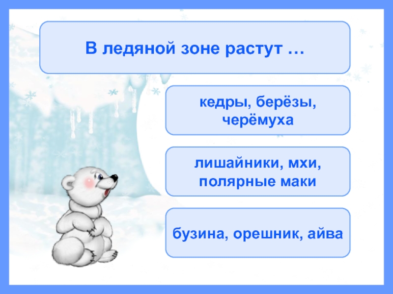 Зона арктических пустынь тест 4 класс окружающий. В ледяной зоне растут. В ледяной зоне растут растут. В ледяной зоне растут в ледяной зоне растут. Кедр растет в ледяной зоне.