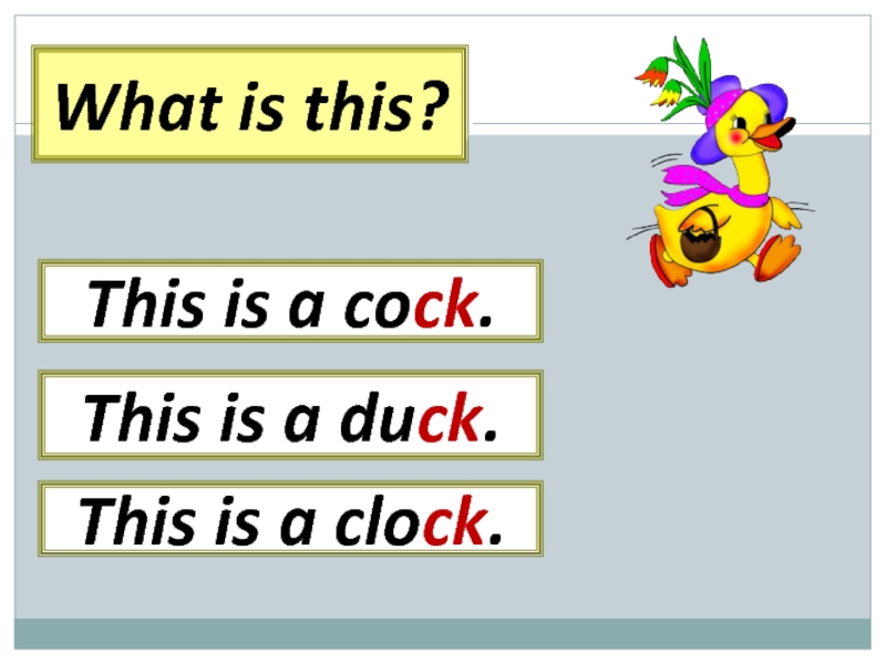 What is this? This is a duck.This is a cock.This is a clock.