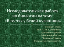 В гостях у белой кувшинки 6 класс