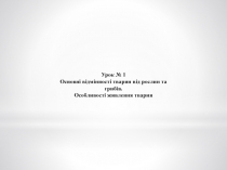 Урок № 1
Основні відмінності тварин від рослин та грибів. Особливості живлення