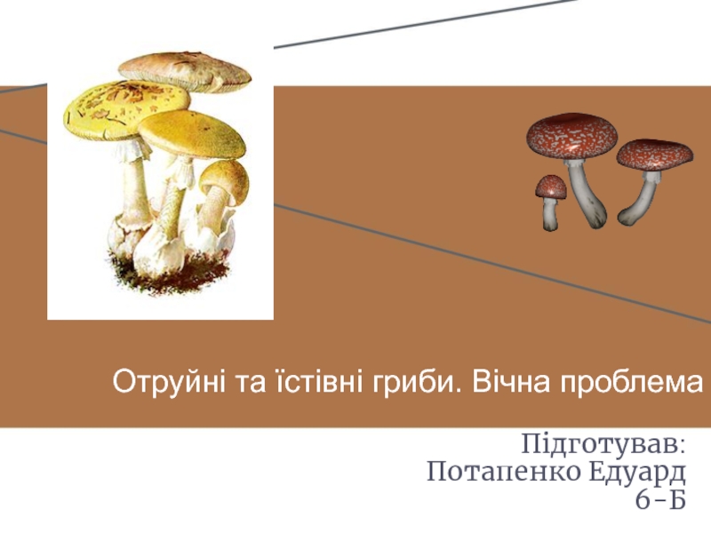 Презентация Отруйні та їстівні гриби. Вічна проблема