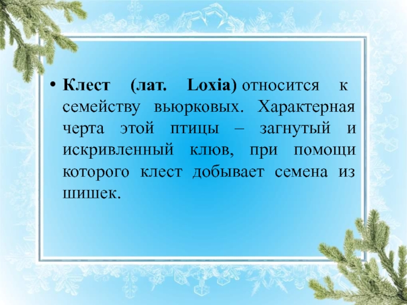 3 класс изложение клесты школа россии презентация обучающее