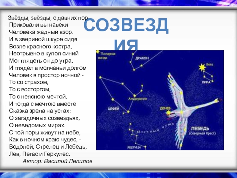 Созвездия неба рассказ. Созвездие лебедь Легенда. Рассказ о созвездии лебедь 2 класс окружающий мир. Рассказ о созвездии лебедь. Сообщение о созвездии лебедь.