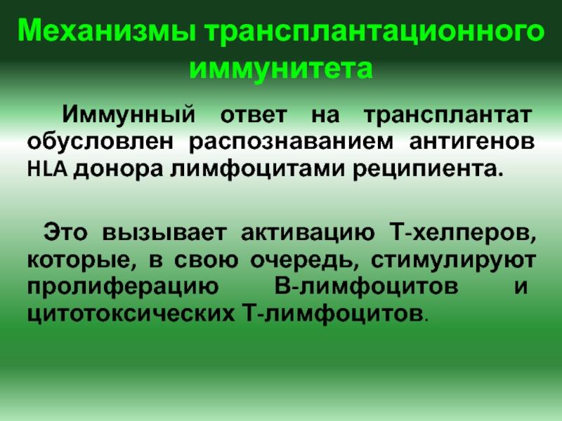 Трансплантационный иммунитет презентация