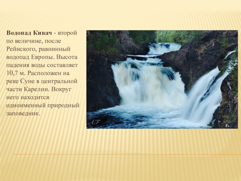 Второй по величине водопад в европе. Водопад Кивач презентация. Водопад Кивач второй по величине после Рейнского. Водопад Кивач высота. Водопад Кивач на карельской речке суна.