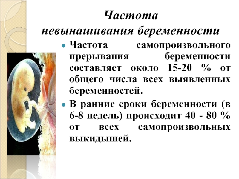 Беременность после самопроизвольного. Причины невынашивания беременности. Невынашивание беременности сроки. Самопроизвольный выкидыш клинические рекомендации. Причины невынашивания беременности по срокам.