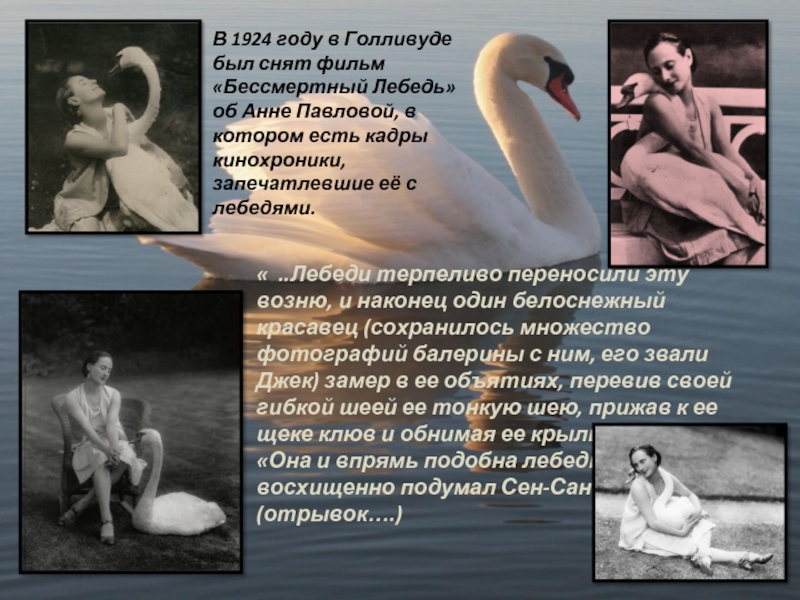 В 1924 году в Голливуде был снят фильм «Бессмертный Лебедь» об Анне Павловой, в котором