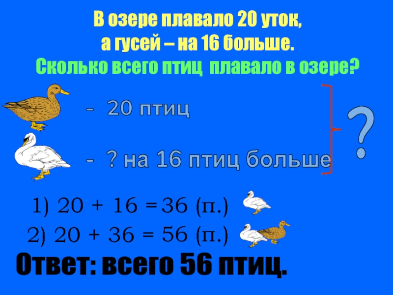 Сколько уток. Сколько всего уток. В пруду плавали несколько уток. Сколько всего птиц. Сколько всего уток ответ.