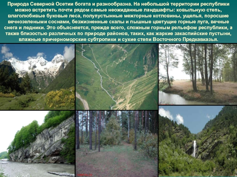 Северная осетия сообщение. Природные зоны Северной Осетии 4 класс. Природные зоны Северной Осетии Алании. Разнообразие природы Северной Осетии. Северная Осетия доклад.