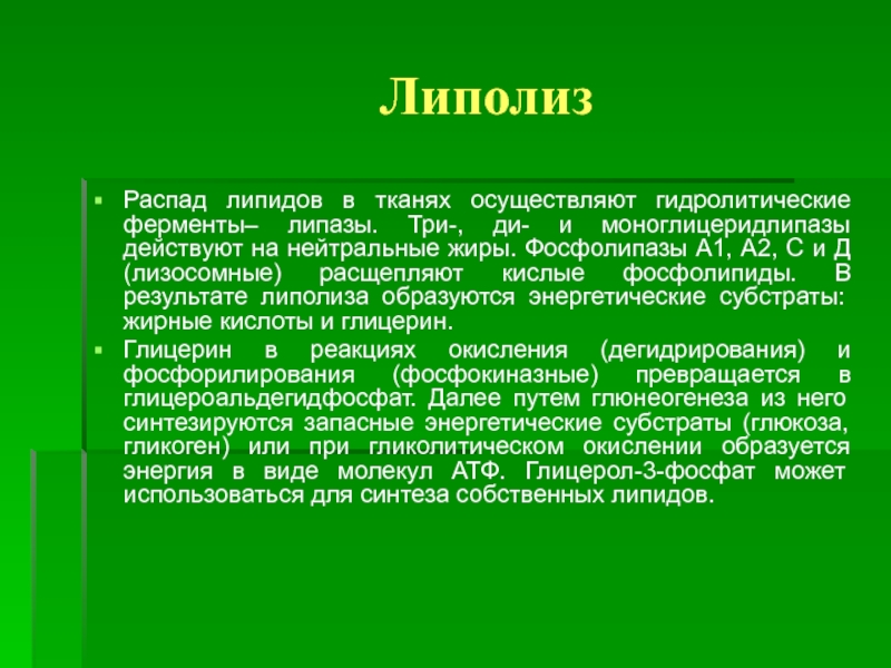 Гидролитические ферменты. Ферменты липолиза. Содержит гидролитические ферменты. Гидролитическое расщепление липидов у взрослого человека начинается.