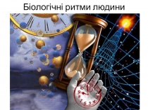 Біологічні ритми людини