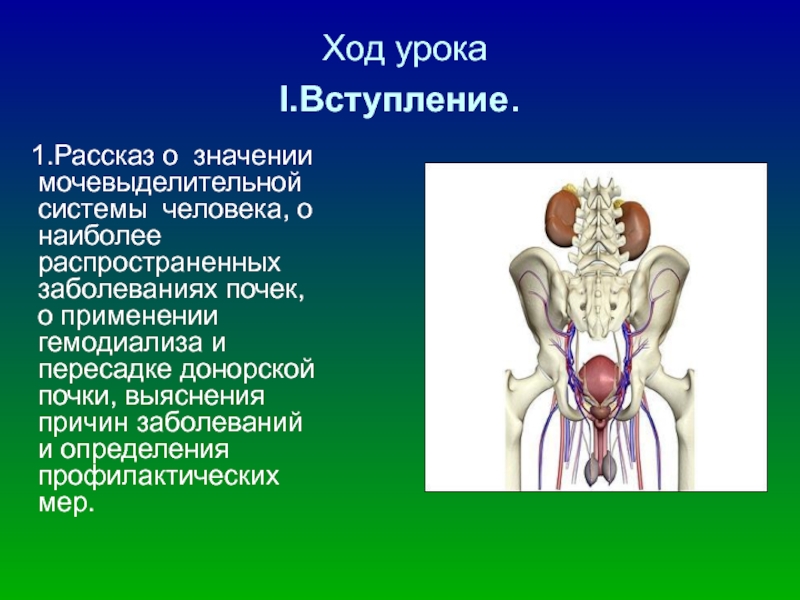 Заболевание 8 8. Мочевыделительная система. Возможные осложнения со стороны мочевыделительной системы. Небольшой рассказ о болезни мочевыделительной системы. Почки рассказ для детей.