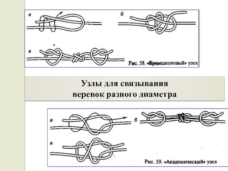 Брамшкотовый узел. Японские узлы для связывания. Узлы для связывания человека. Брамшкотовый узел разного диаметра. Узлы для связывания веревок разного диаметра Академический.