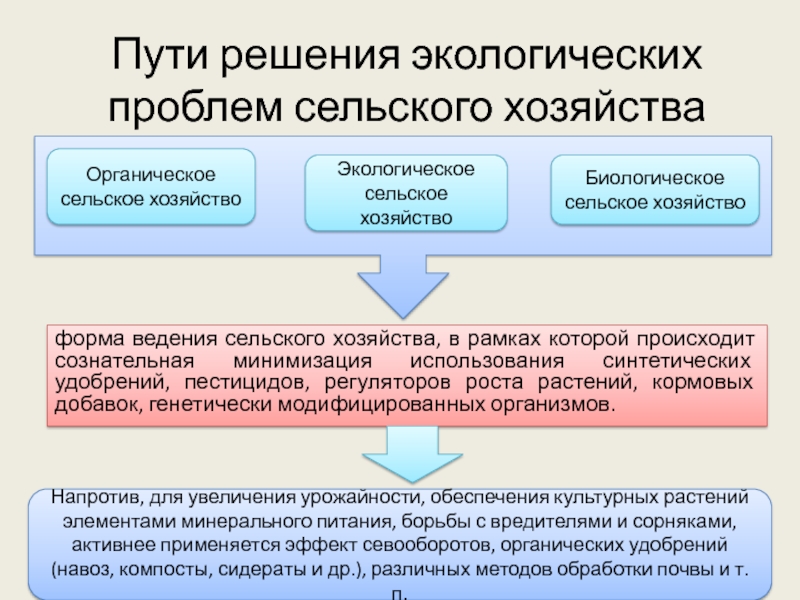 Проблемы сельского здравоохранения