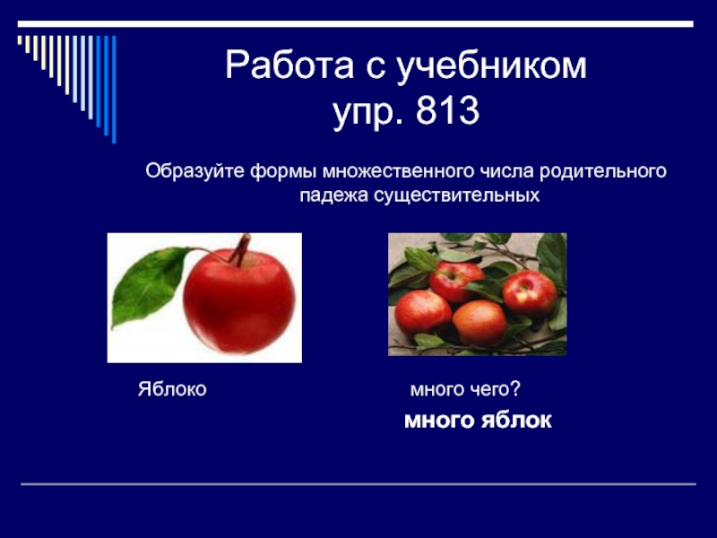 Помидоры множественное число родительный. Яблоки в родительном падеже множественного числа. Яблоко родитедьный падеж множ. Яблони в родительном падеже множественного числа. Яблоко в родительном падеже множественного.