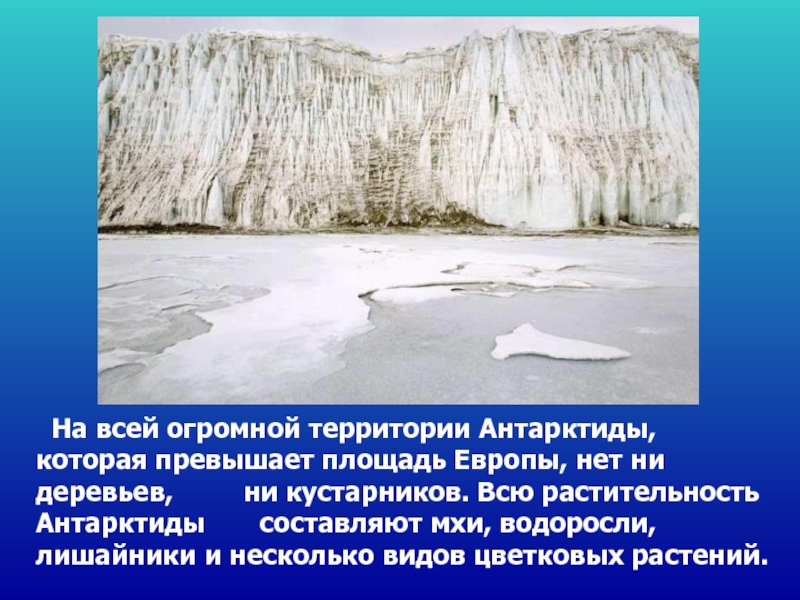 Проект про антарктиду 2 класс окружающий мир