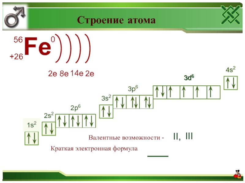 Схема строения атома se