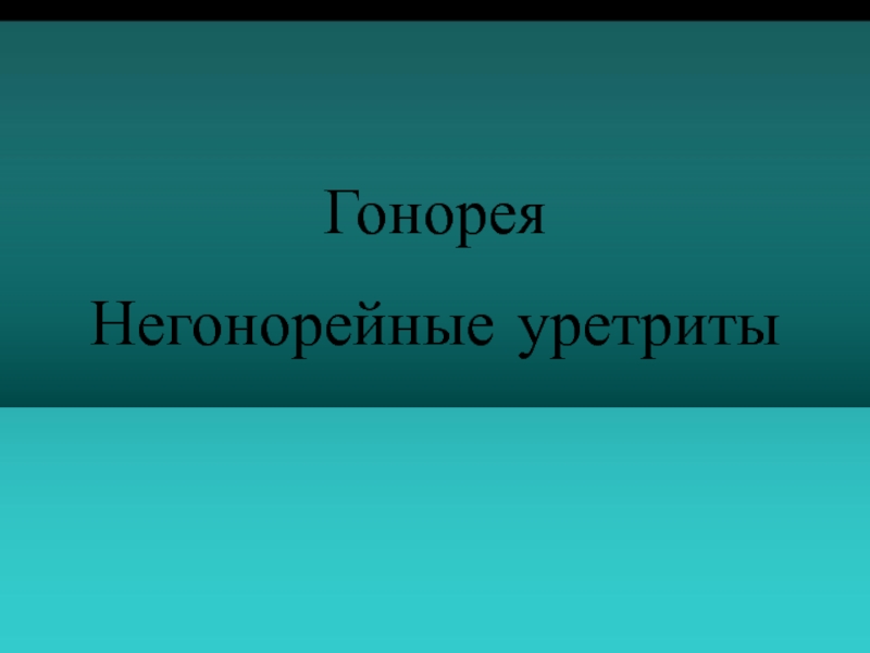 гонорея, НГУ студенты НИ ОК.ppt